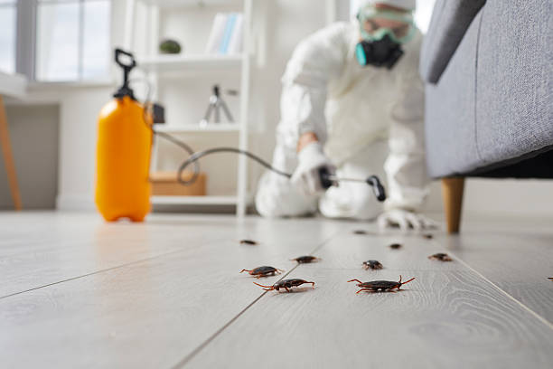 Post-Treatment Bed Bug Interceptor Monitoring in Stromsburg