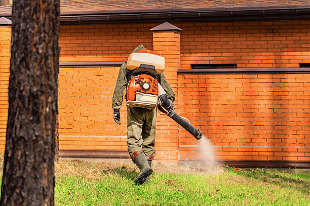 Bed Bug Clearance Verification and Documentation in Stromsburg